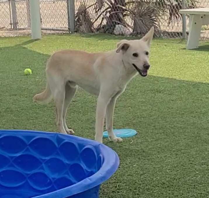 Photo of Spirit