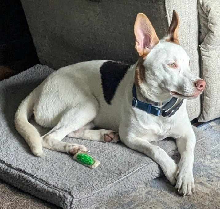Photo of Marble