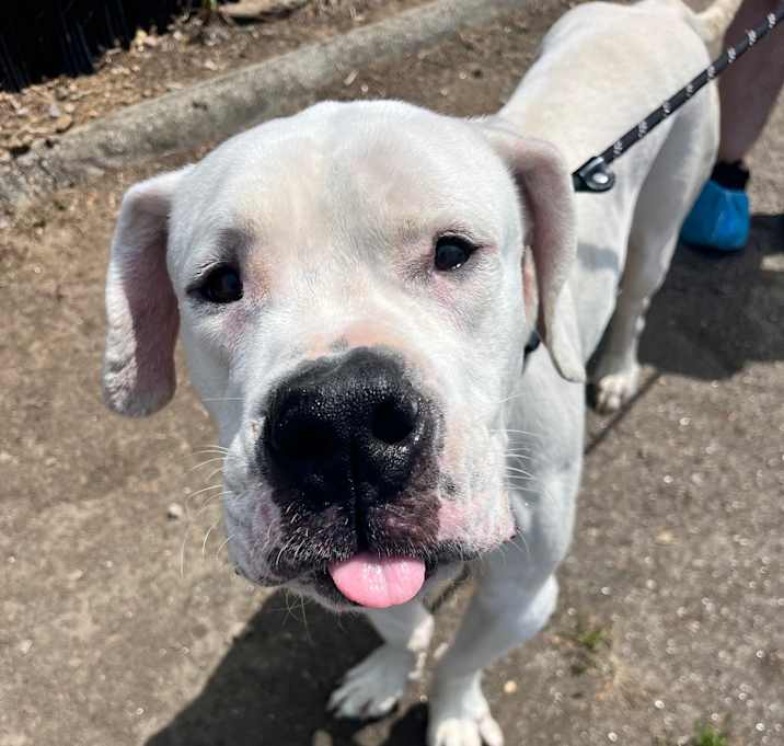 Photo of Harvey