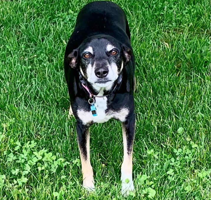 Photo of Tesla
