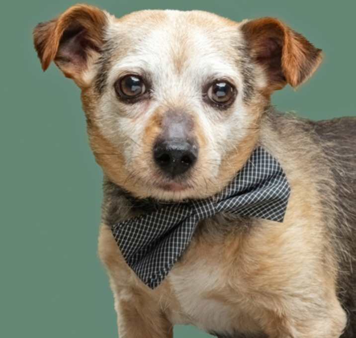 Photo of Max