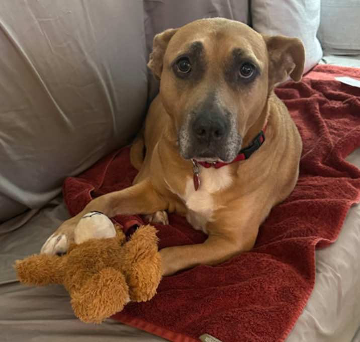 Photo of Nyla