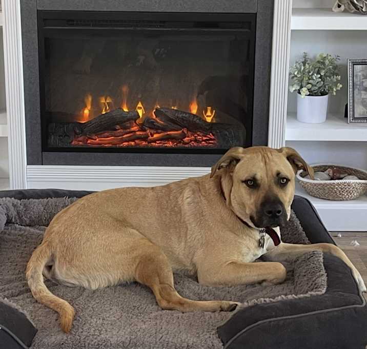 Photo of Duke