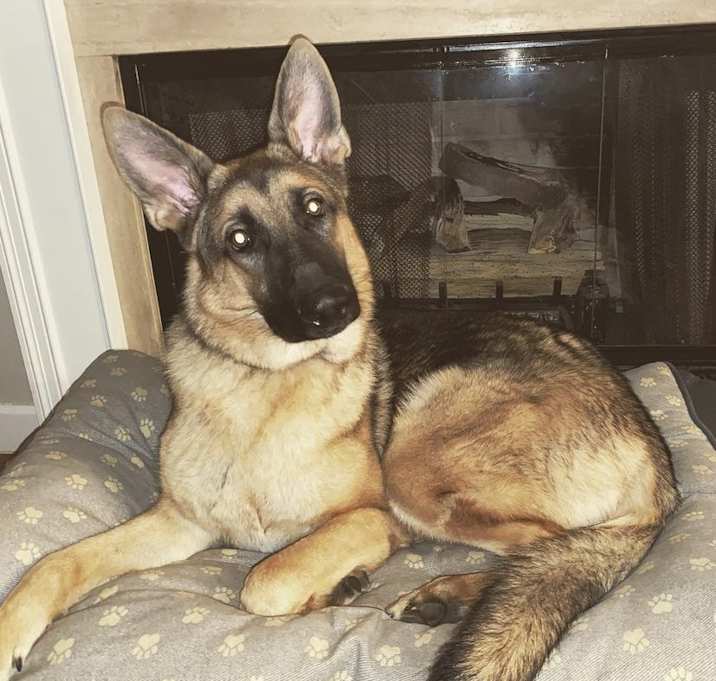 Photo of Drako