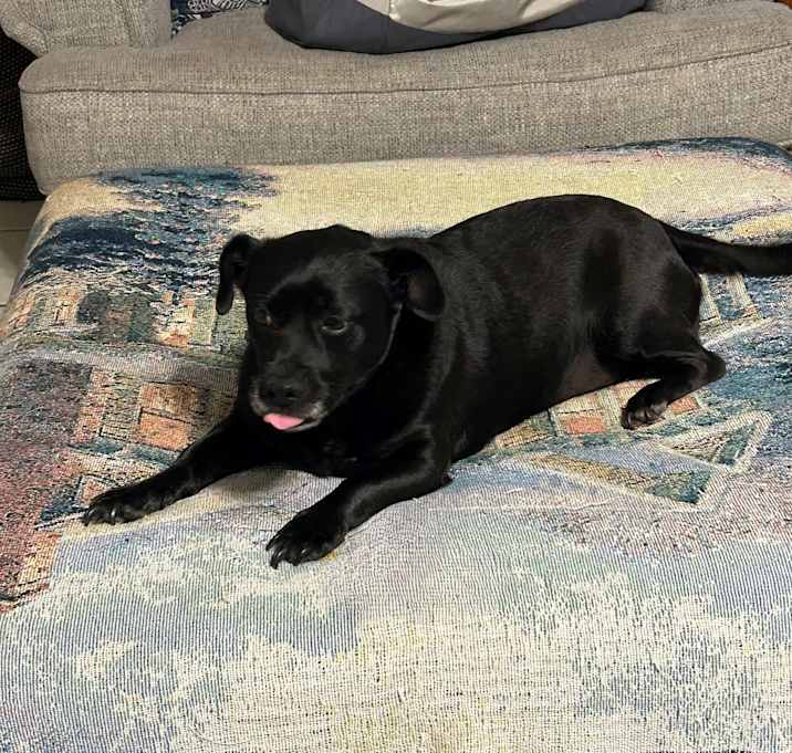 Photo of Rosie