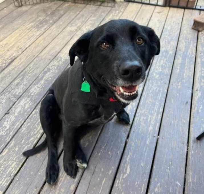 Photo of Hades