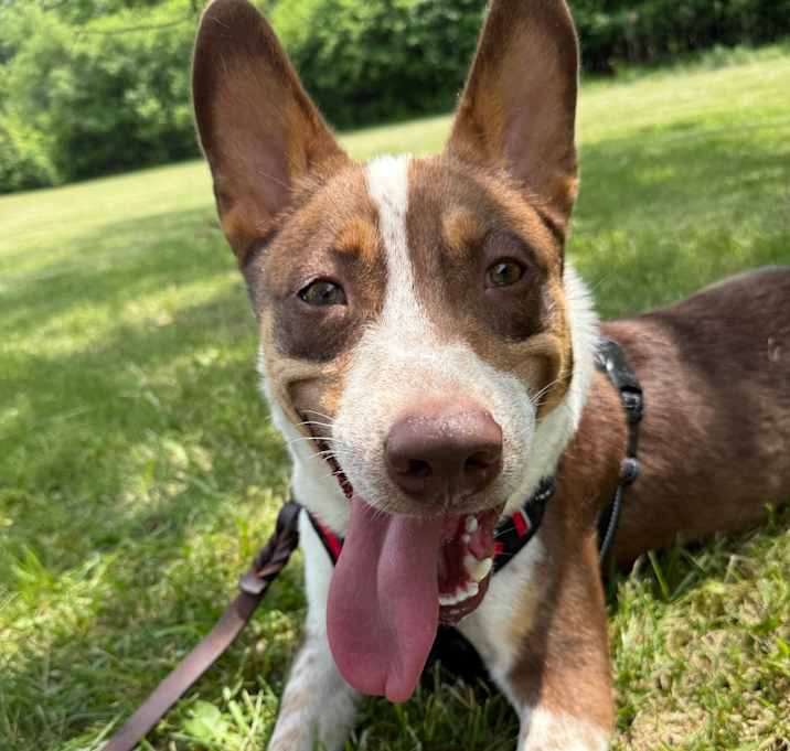 Photo of Gatsby
