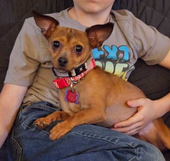 Photo of Sadie