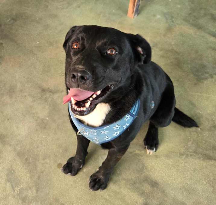 Photo of Boudreaux