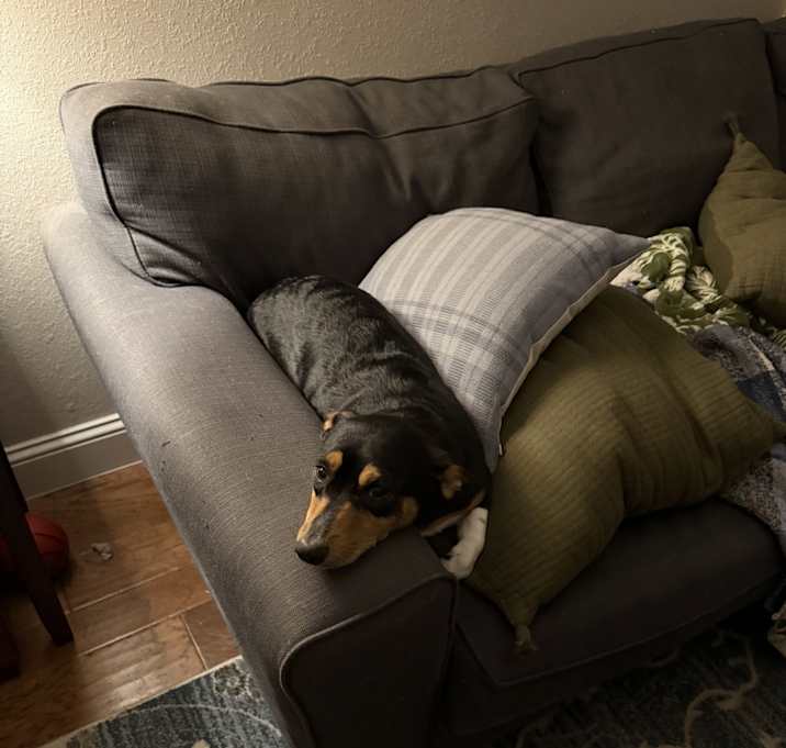 Photo of Riggs