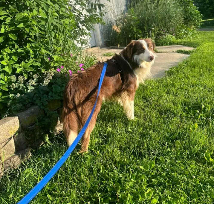 Photo of Flynn