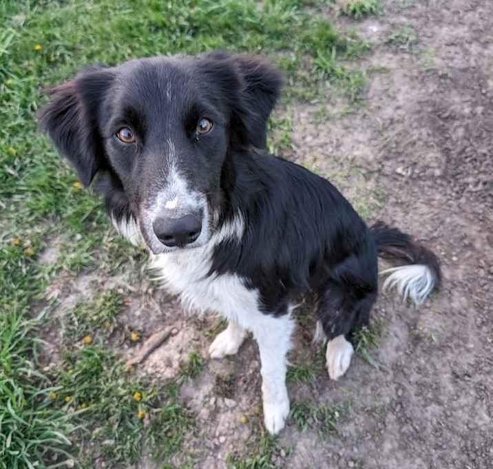 Photo of Fred