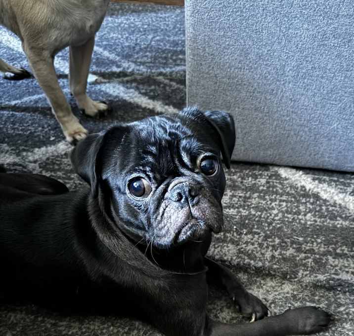 Photo of Mili