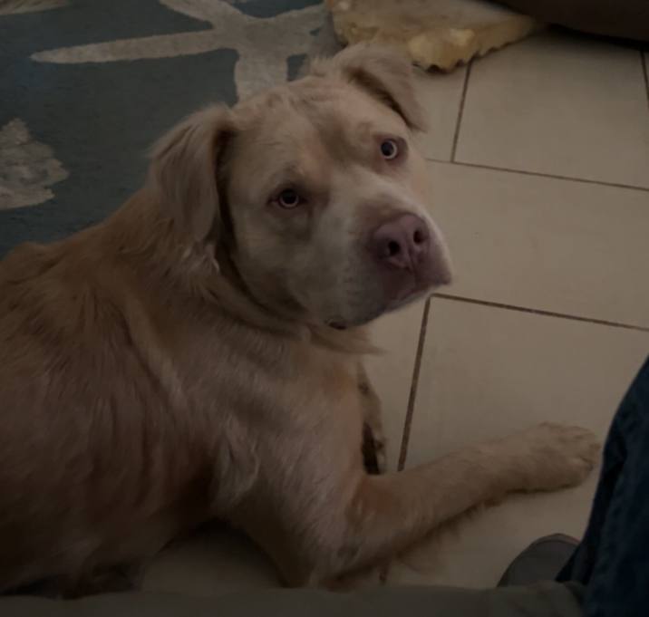 Photo of Axel