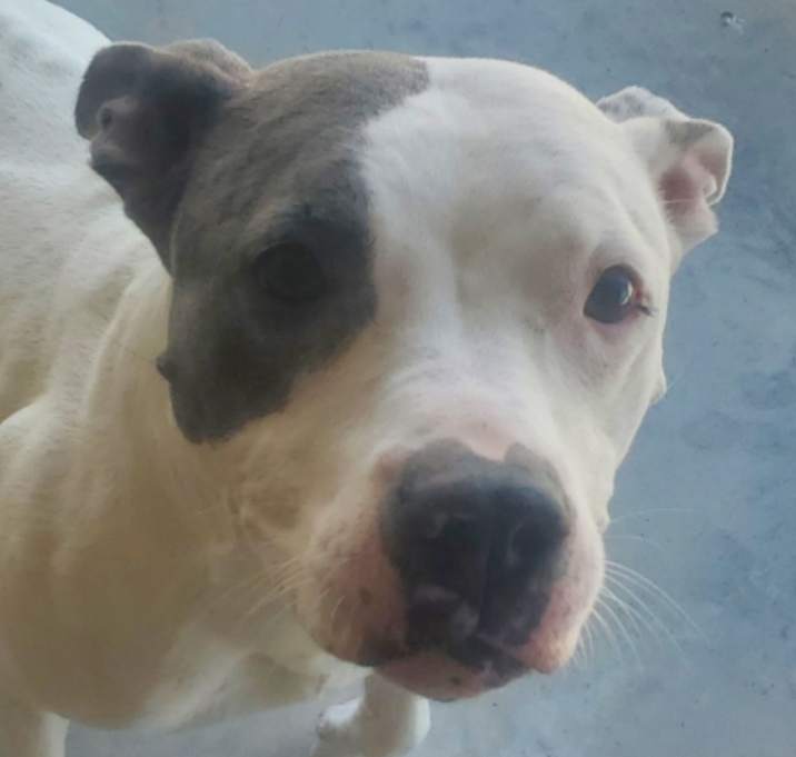 Photo of brenda