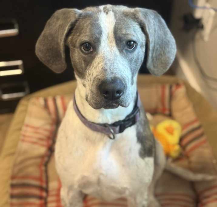 Photo of Cleo
