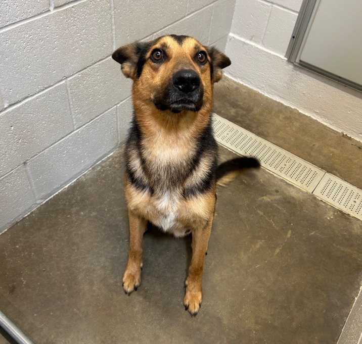 Photo of zeus