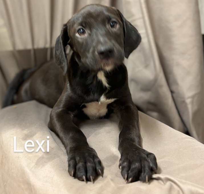 Photo of Lexi