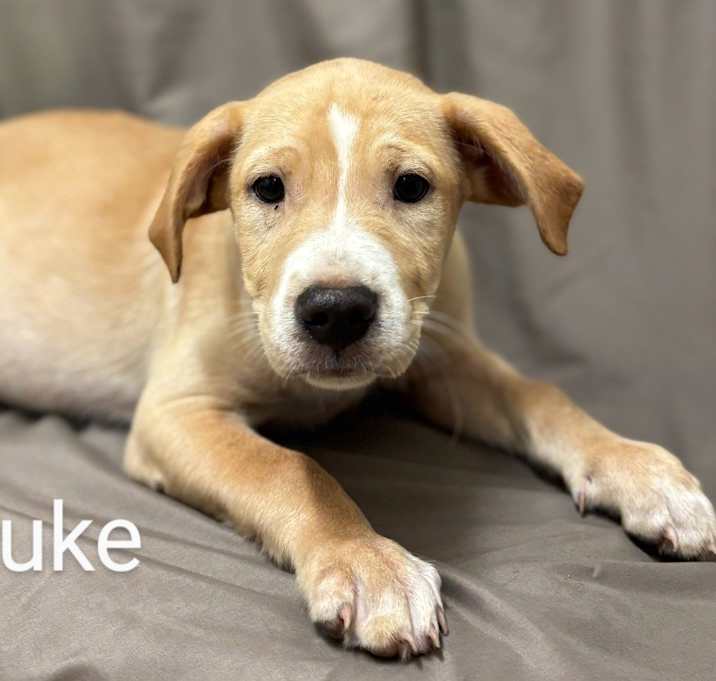 Photo of Luke