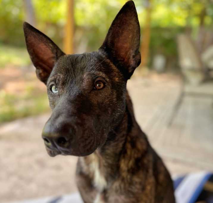 Photo of Jack