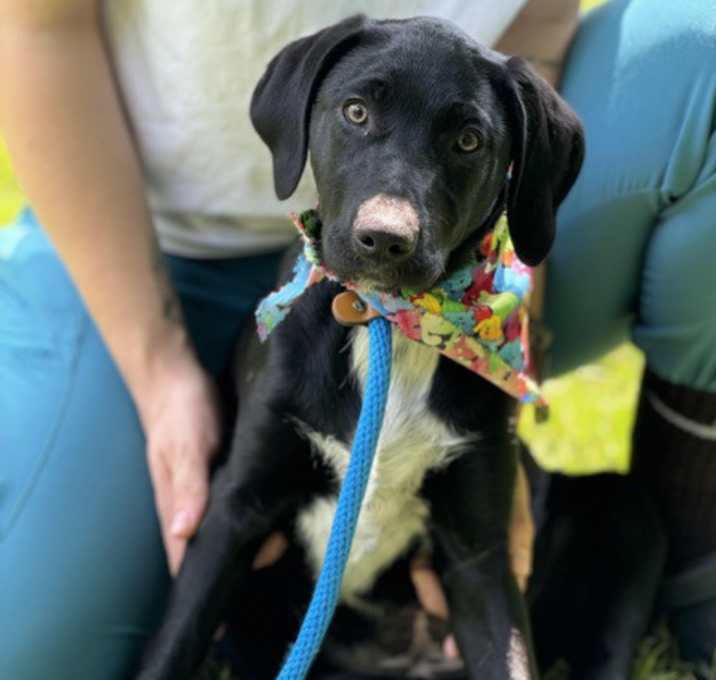 Photo of Daffy