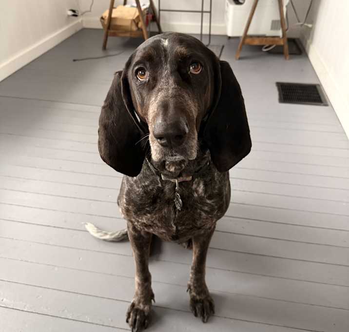 Photo of Marlee