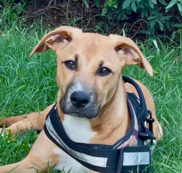 Photo of Ripley