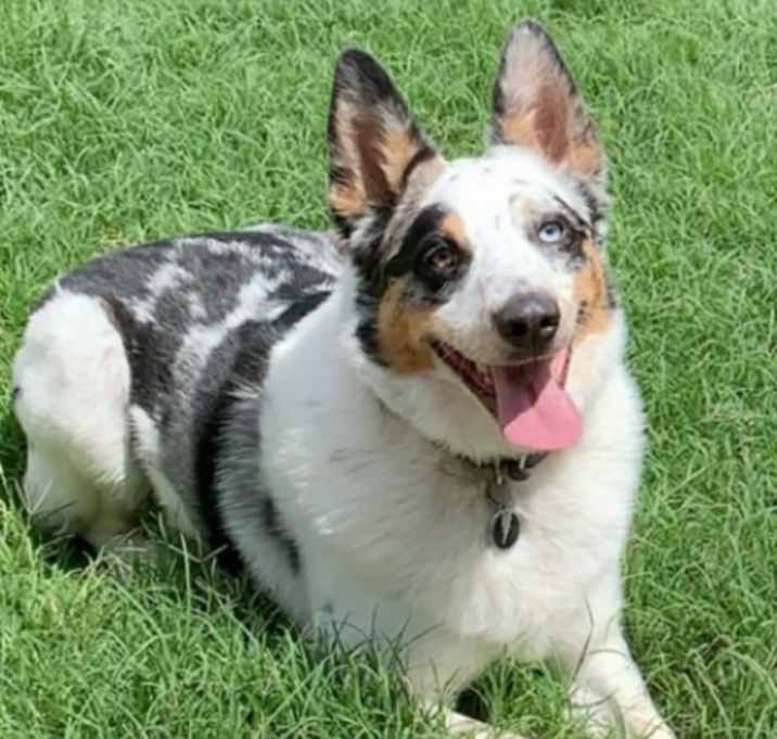 Photo of Zeus