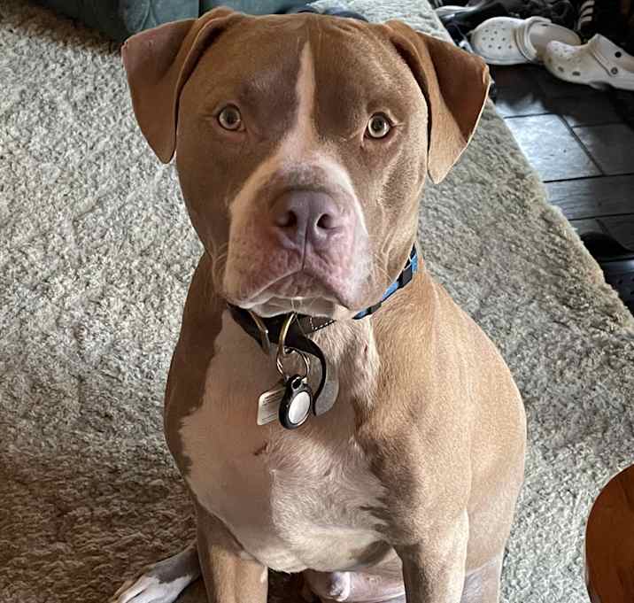 Photo of Axel