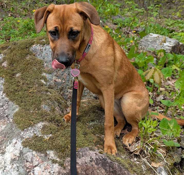 Photo of Freyja