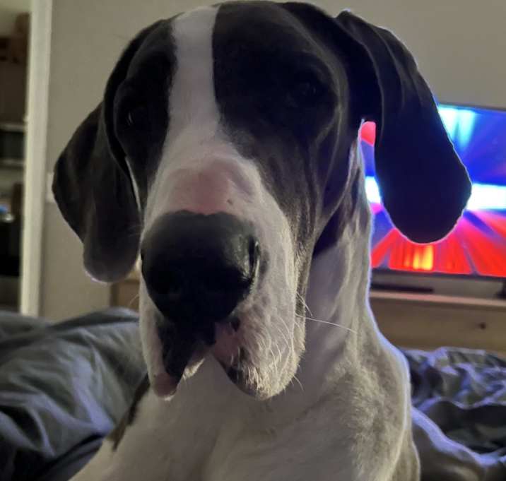 Photo of Ellie