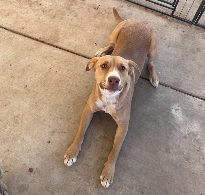Photo of Lucy