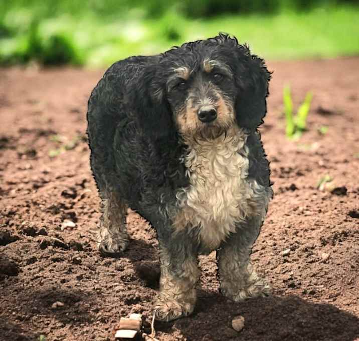 Photo of Maggie