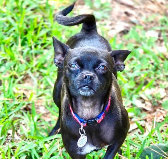 Photo of Evelyn