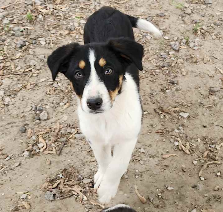 Photo of Lola