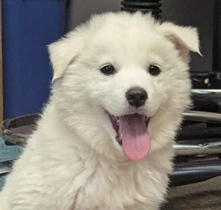 Photo of Adalene