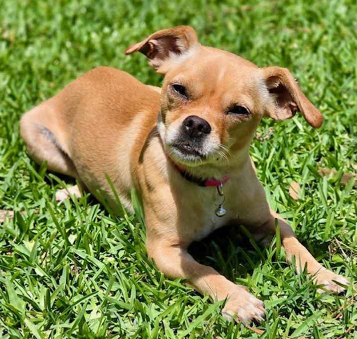 Photo of Little Bit