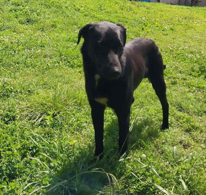 Photo of Cash