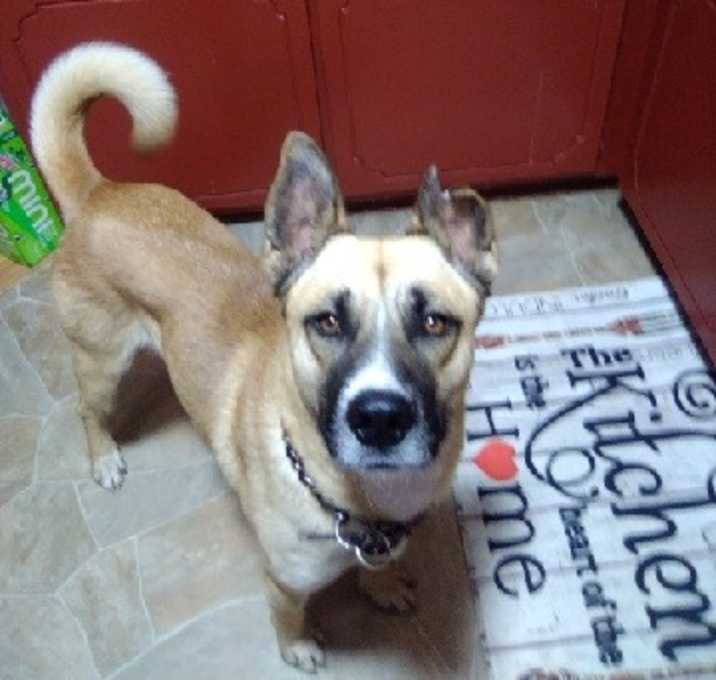 Photo of Apollo 