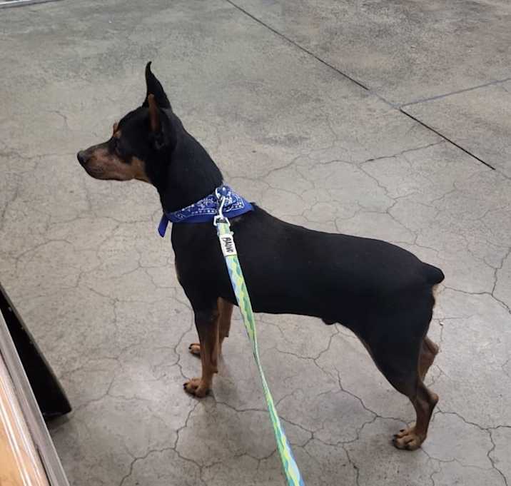 Photo of Billy
