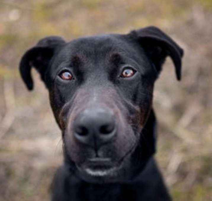 Photo of Xena