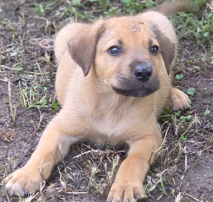 Photo of Kona