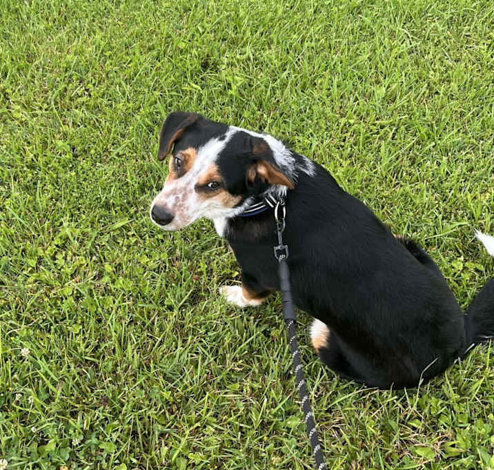 Photo of Simon