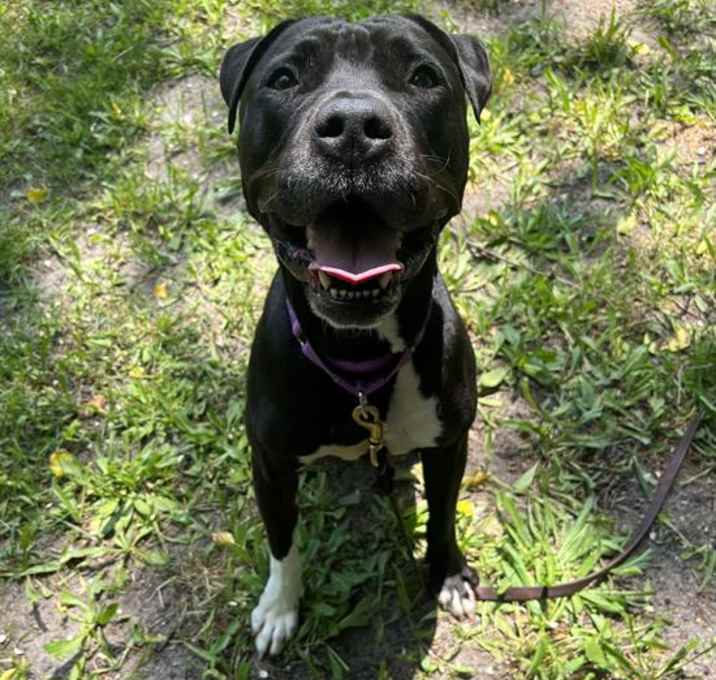 Photo of MARY JANE