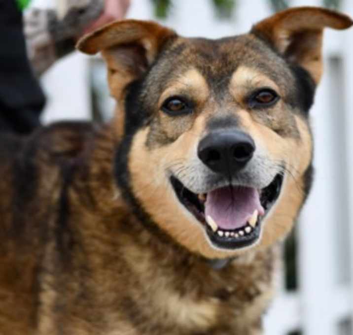 Photo of BRUNO