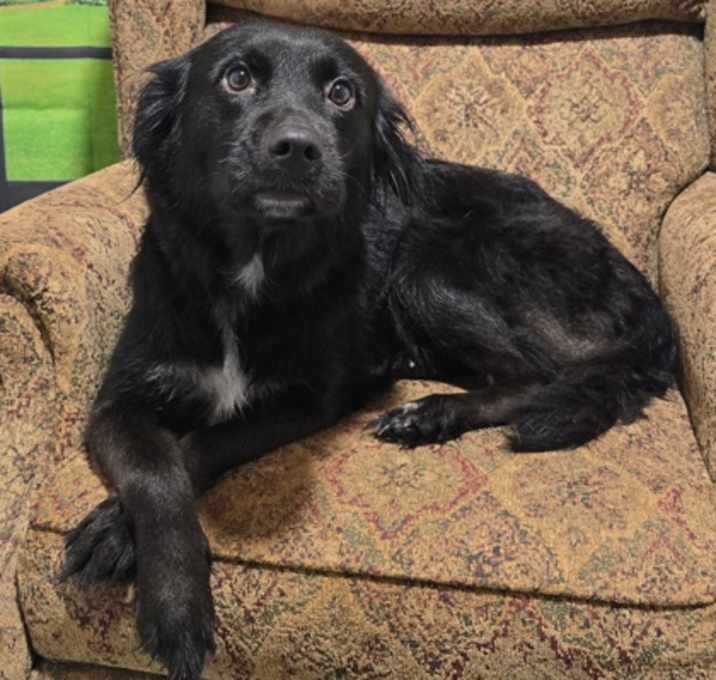 Photo of Misty