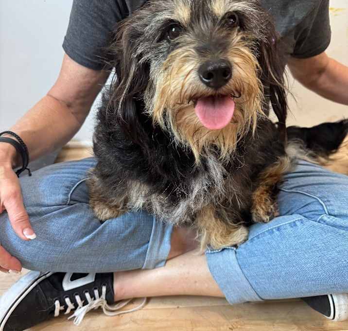Photo of Jamie Queen of Cuddles