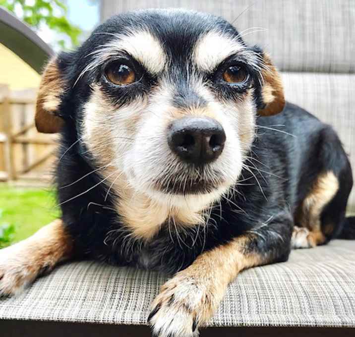 Photo of Zoey