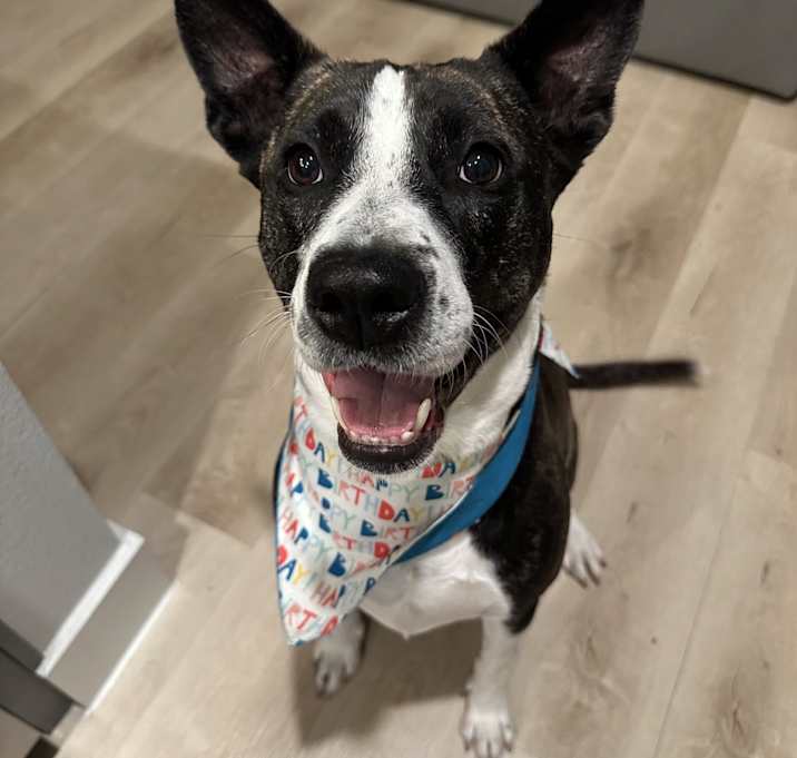 Photo of Penny