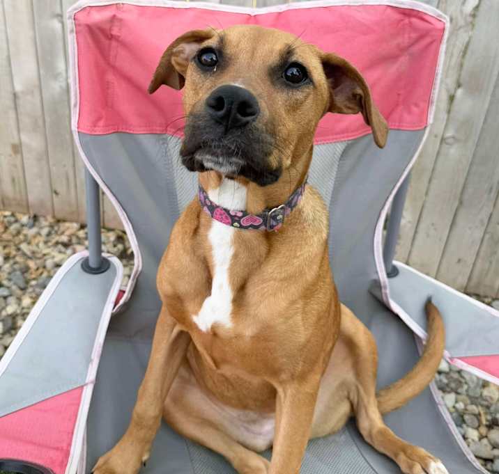 Photo of Ms. Scooby